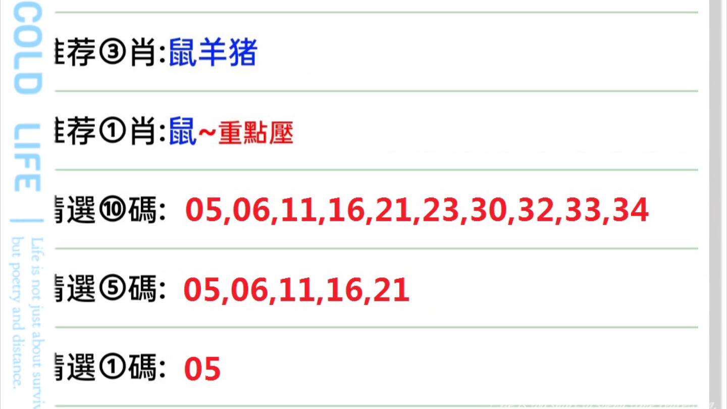 澳门天天彩期期精准十二生肖,精选解释解析落实