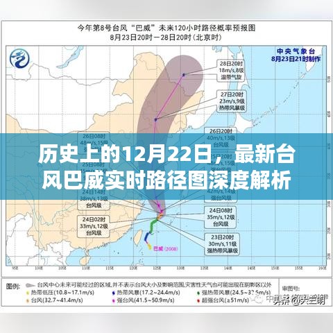 最新台风巴威消息深度解析