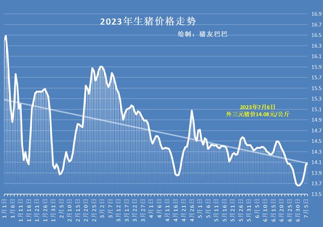 猪价最新行情毛猪市场动态分析