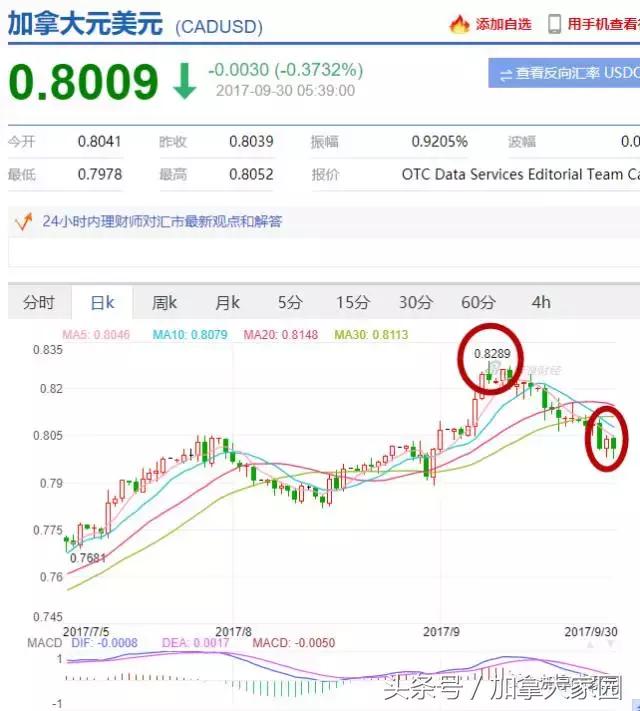 加币走势分析，加币会跌的最新市场动态