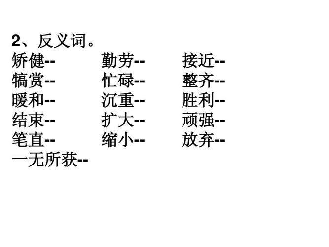 最新款近义词的探索与解析