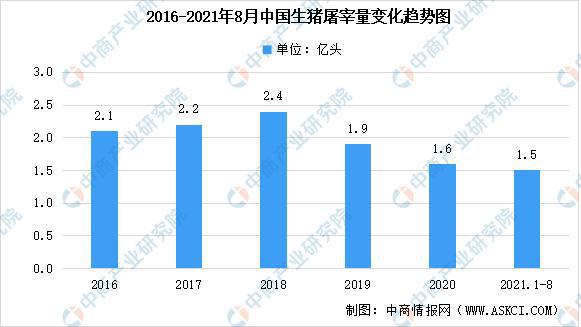 东北生猪市场行情分析，最新猪价走势报告