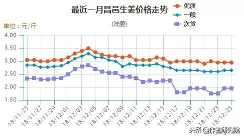 新姜市场行情，最新价格分析与解读