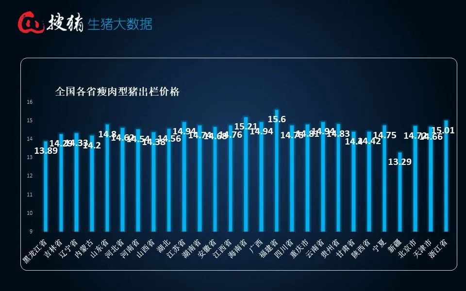 今日最新猪肉价全国概览