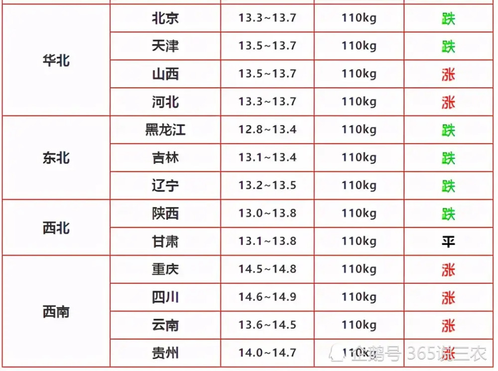 毛猪猪价最新报价，市场动态与解析