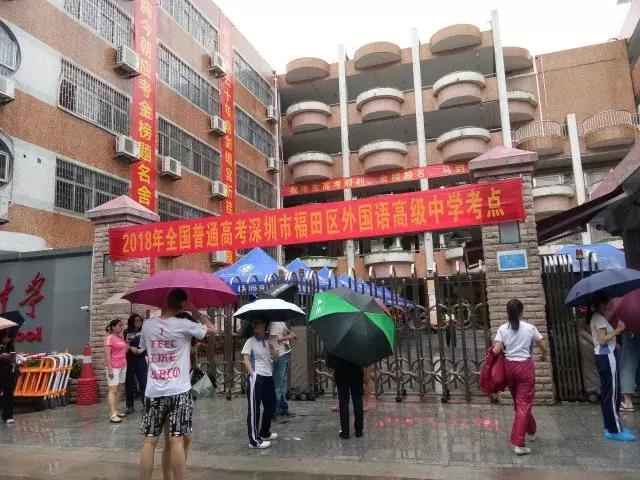 最新台风消息，广东深圳的防台准备与应对